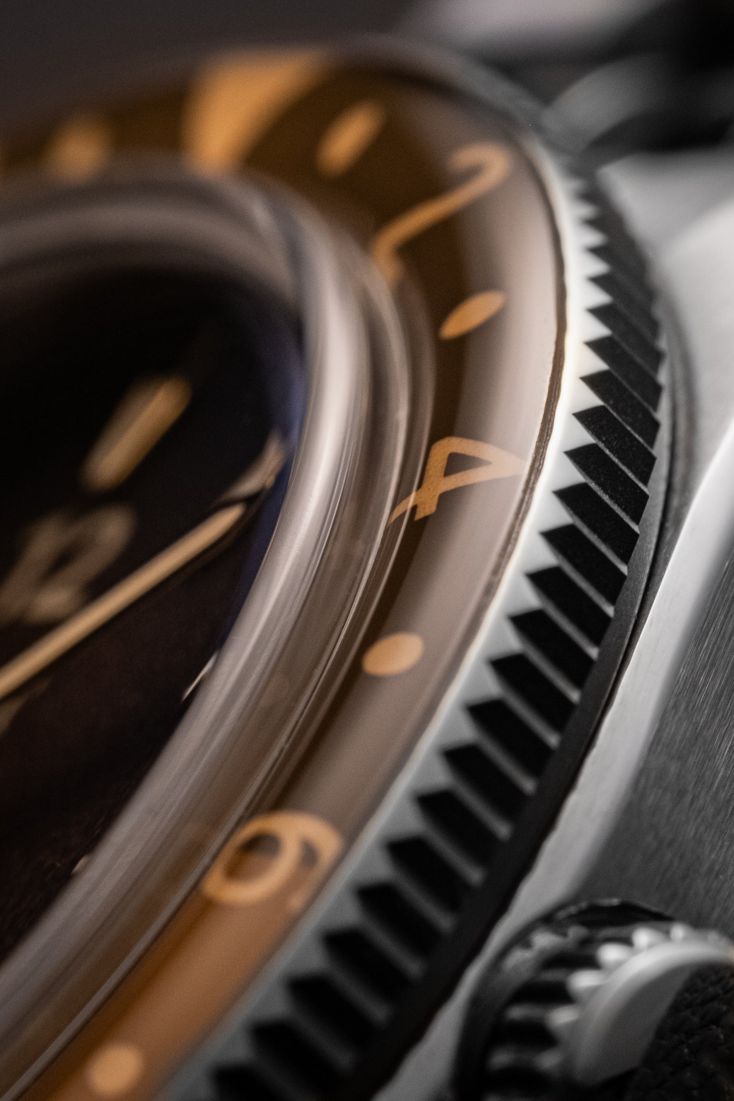 Aquatique GMT - Terra